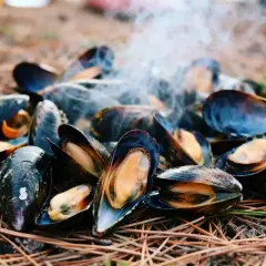 Une délicieuse éclade de moule fumante, cuite en plein air sur un lit d'aiguilles de pin.