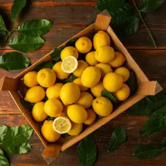Une caisse remplie de citrons jaunes éclatants, parfaits pour savoir que faire avec beaucoup de citrons jaunes. Des feuilles vertes luxuriantes entourent le tout.