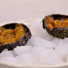 Deux oursins ouverts, remplis de leur corail orangé, servis sur un lit de glace pilée. Une invitation à découvrir la recette oursin cuit.