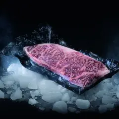 Un beau morceau de viande de bœuf marbré, emballé sous vide, posé sur de la glace pilée. Le processus pour décongeler viande est sur le point de commencer.