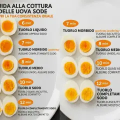 Guide à la cuisson des œufs durs : différentes consistances selon le temps d'oeuf cuisson. Du liquide à complètement solide.