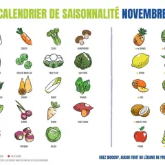 Calendrier de novembre : brocoli, chou frisé, épinard, salade, poireau, fenouil, courge, navet, radis, rutabaga, chou de Bruxelles, chou chinois, chou lisse, chou rave, chou romanesco, chou-fleur, endive, panais, patate douce, oignon, céleri, betterave...