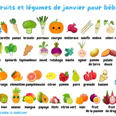 Illustration des fruits et légumes de janvier pour bébé : carotte, brocoli, courge, orange, pomme, kiwi, ananas, mangue, papaye, litchi, etc.