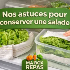 Nos astuces pour conserver une salade fraîche plus longtemps : feuilles de laitue dans un linge et dans une boîte avec du papier absorbant.