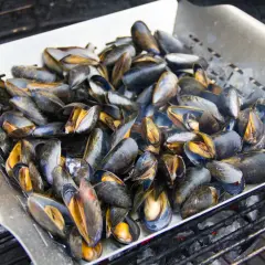 Un plateau de moules au barbecue, prêtes à être dégustées. Les coquilles sombres et les chairs orangées promettent un festin savoureux.