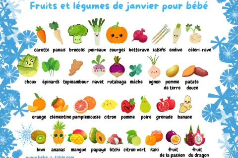 Illustration des fruits et légumes de janvier pour bébé : carotte, brocoli, courge, orange, pomme, kiwi, ananas, mangue, papaye, litchi, etc.