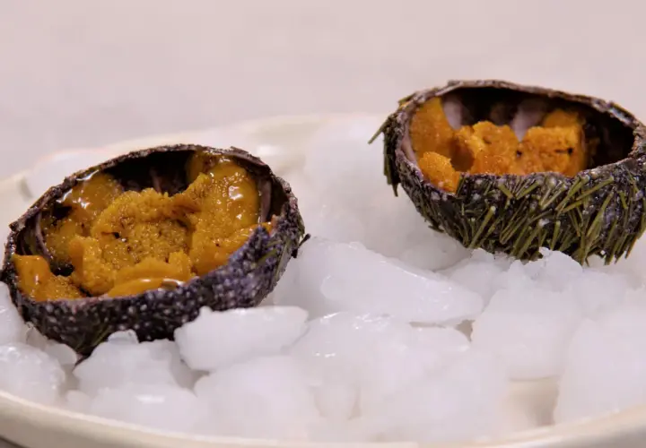 Deux oursins ouverts, remplis de leur corail orangé, servis sur un lit de glace pilée. Une invitation à découvrir la recette oursin cuit.