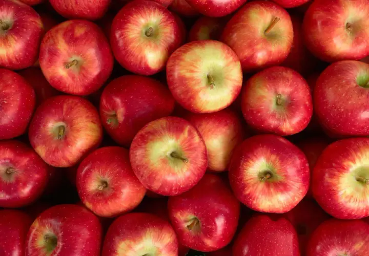 Gros plan sur des pommes rouges et jaunes, parfaites pour des compotes ou des tartes. Idées pour que faire avec des pommes abîmées.