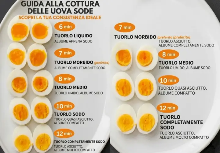 Guide à la cuisson des œufs durs : différentes consistances selon le temps d'oeuf cuisson. Du liquide à complètement solide.