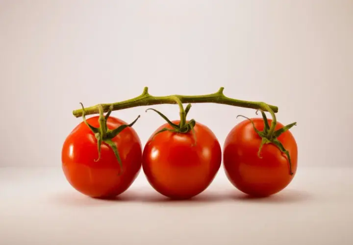 Trois tomates rouges sur une tige verte, prêtes à congeler pour conserver leur fraîcheur.