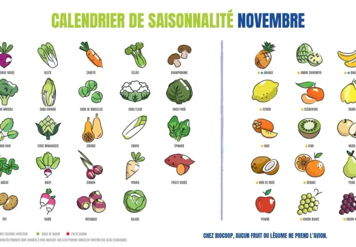 Calendrier de novembre : brocoli, chou frisé, épinard, salade, poireau, fenouil, courge, navet, radis, rutabaga, chou de Bruxelles, chou chinois, chou lisse, chou rave, chou romanesco, chou-fleur, endive, panais, patate douce, oignon, céleri, betterave...