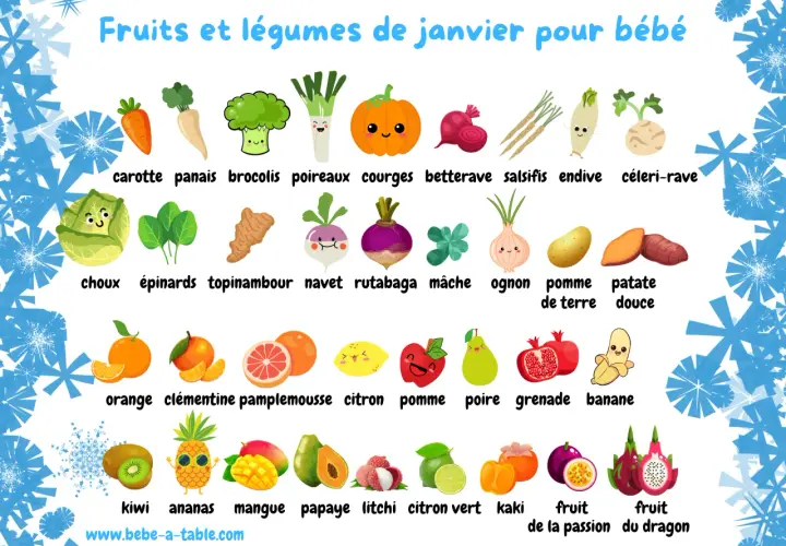 Illustration des fruits et légumes de janvier pour bébé : carotte, brocoli, courge, orange, pomme, kiwi, ananas, mangue, papaye, litchi, etc.