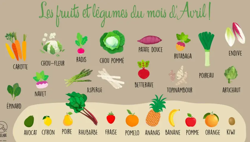 Légumes de saison en avril : carottes, chou-fleur, radis, chou pommé, patate douce, rutabaga, poireau, endive, épinard, navet, asperge, betterave, topinambour, artichaut. Fruits : avocat, citron, poire, rhubarbe, fraise, pomelo, ananas, banane, pomme, ...
