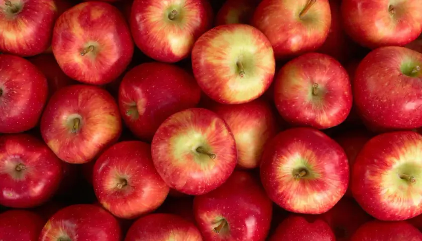 Gros plan sur des pommes rouges et jaunes, parfaites pour des compotes ou des tartes. Idées pour que faire avec des pommes abîmées.