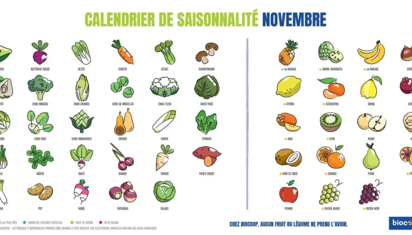 Calendrier de novembre : brocoli, chou frisé, épinard, salade, poireau, fenouil, courge, navet, radis, rutabaga, chou de Bruxelles, chou chinois, chou lisse, chou rave, chou romanesco, chou-fleur, endive, panais, patate douce, oignon, céleri, betterave...