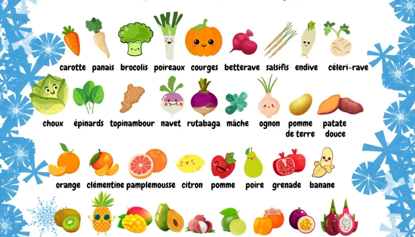 Illustration des fruits et légumes de janvier pour bébé : carotte, brocoli, courge, orange, pomme, kiwi, ananas, mangue, papaye, litchi, etc.