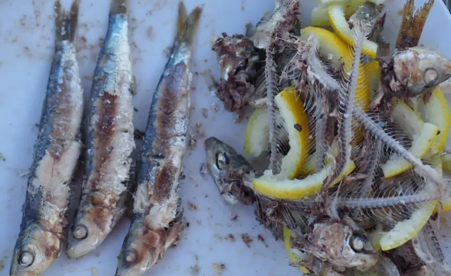 Sardines grillées au barbecue ou à la plancha, mode d’emploi