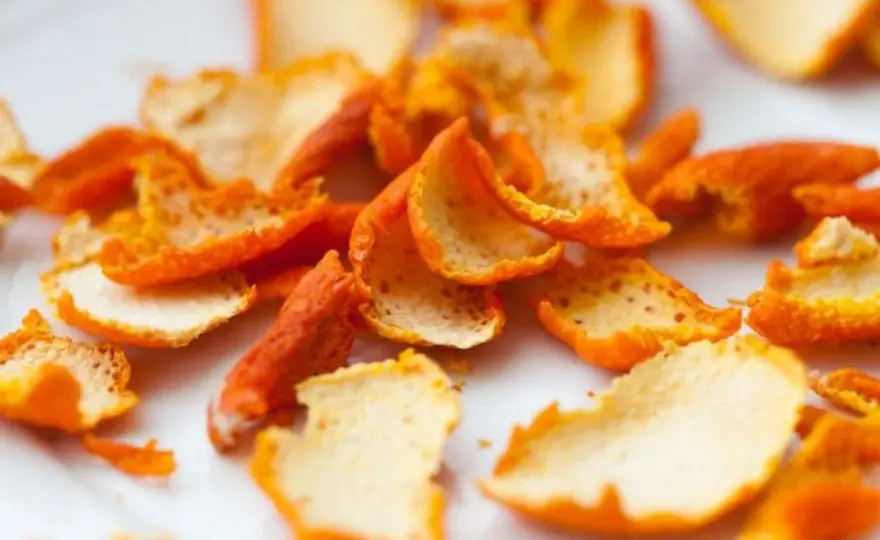 Orange en cuisine - 5 astuces pour des plats savoureux et zéro déchet