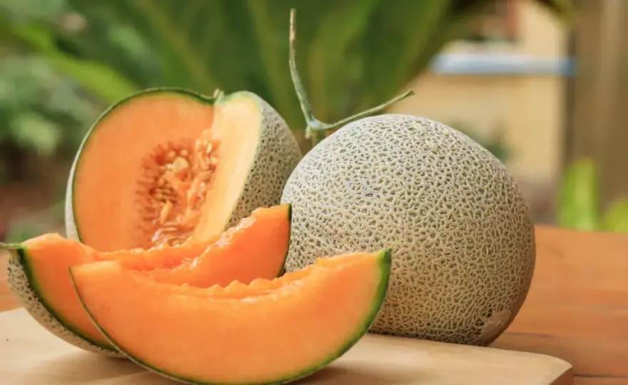 Melon fade - 7 astuces pour le sublimer (et quand le jeter)