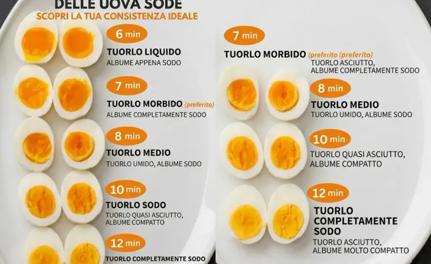 Cuisson des œufs - Le guide ultime pour des œufs parfaits