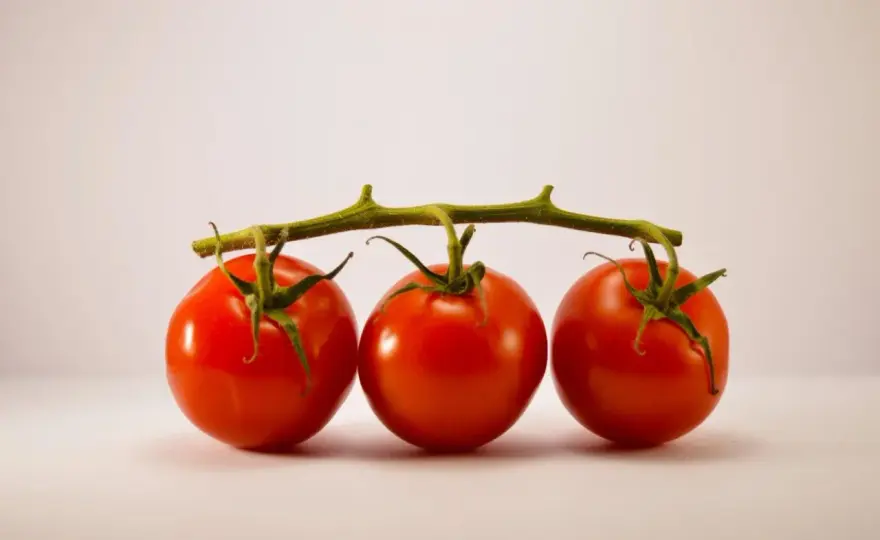 Congeler des tomates - Guide ultime pour sauces et soupes parfaites