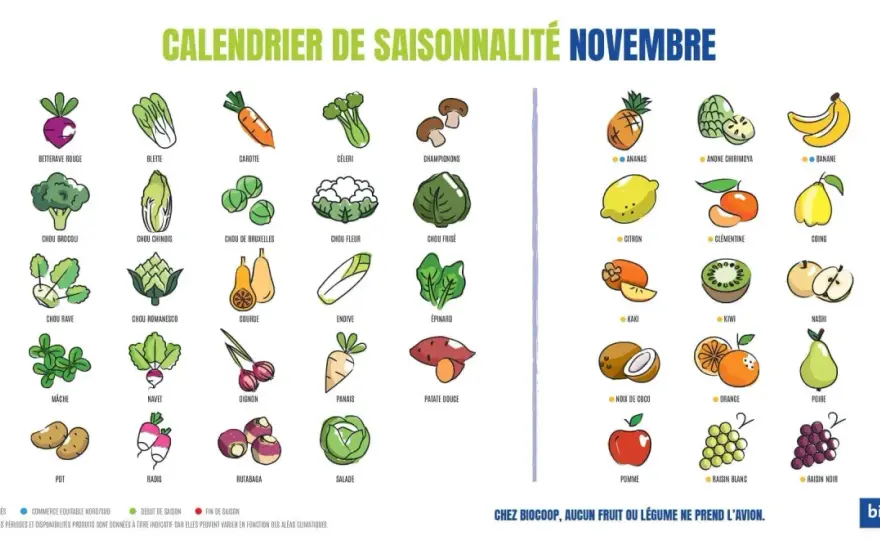Légumes verts de saison - bien les choisir et les cuisiner