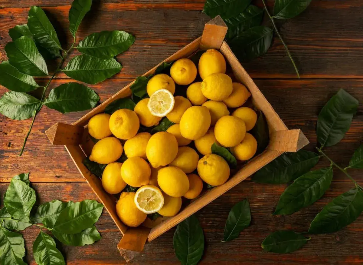 Une caisse remplie de citrons jaunes éclatants, parfaits pour savoir que faire avec beaucoup de citrons jaunes. Des feuilles vertes luxuriantes entourent le tout.