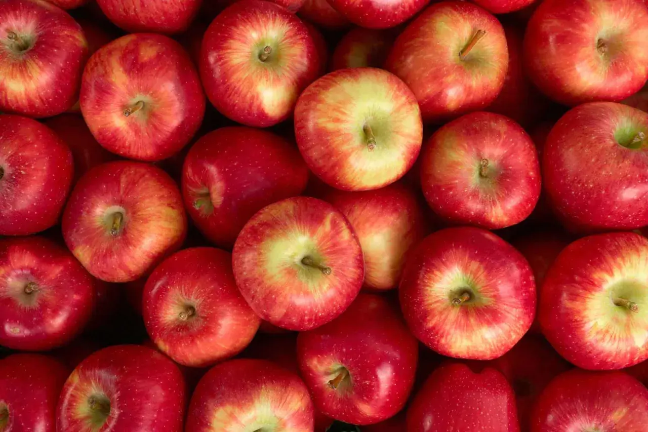 Gros plan sur des pommes rouges et jaunes, parfaites pour des compotes ou des tartes. Idées pour que faire avec des pommes abîmées.