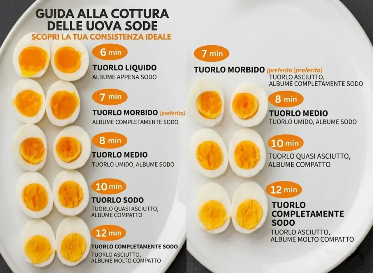 Guide à la cuisson des œufs durs : différentes consistances selon le temps d'oeuf cuisson. Du liquide à complètement solide.