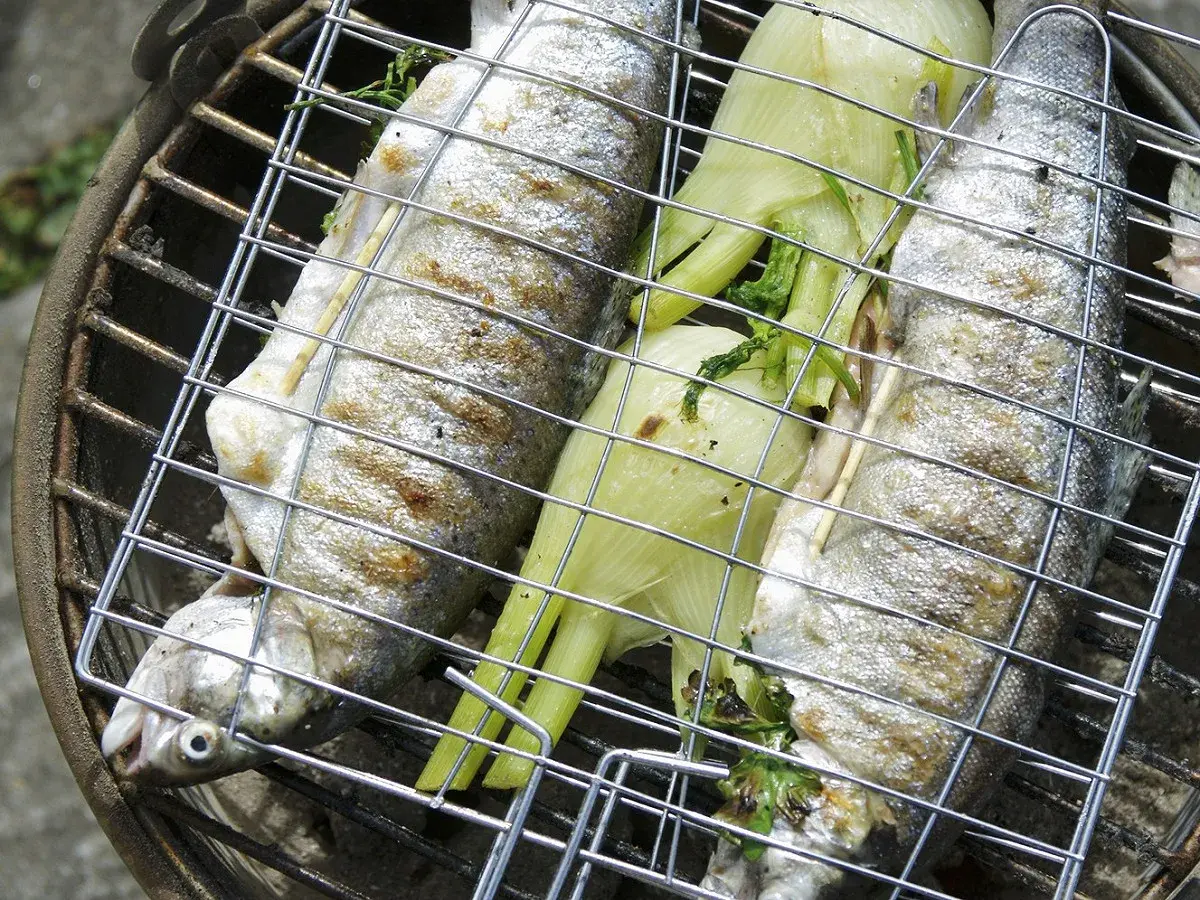 Trois truites au barbecue, garnies d'herbes et de fenouil, grillent sur un barbecue.