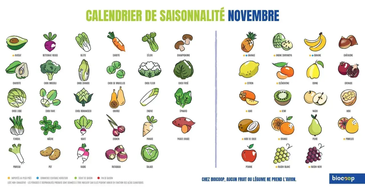 Calendrier de novembre : brocoli, chou frisé, épinard, salade, poireau, fenouil, courge, navet, radis, rutabaga, chou de Bruxelles, chou chinois, chou lisse, chou rave, chou romanesco, chou-fleur, endive, panais, patate douce, oignon, céleri, betterave...