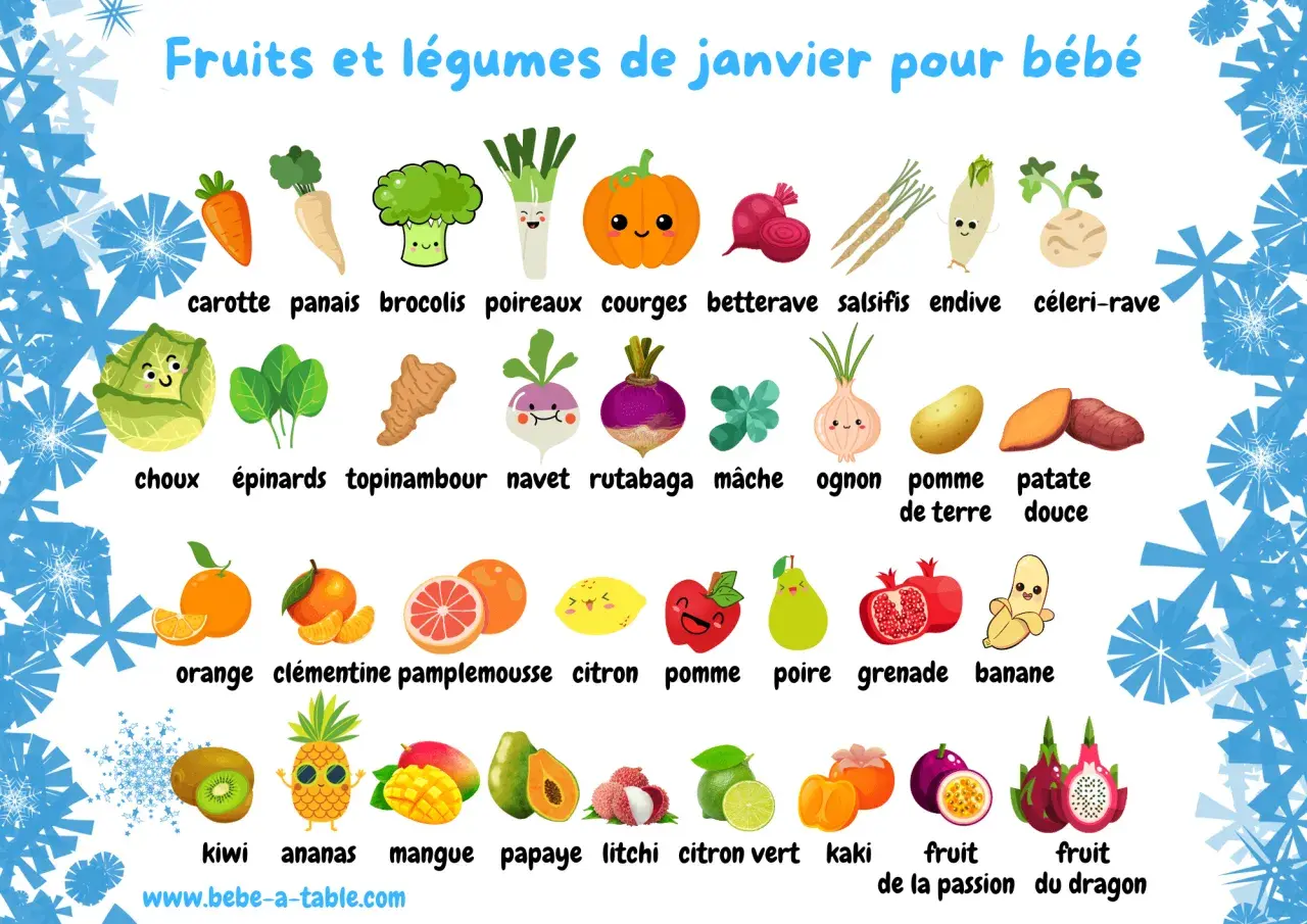 Illustration des fruits et légumes de janvier pour bébé : carotte, brocoli, courge, orange, pomme, kiwi, ananas, mangue, papaye, litchi, etc.