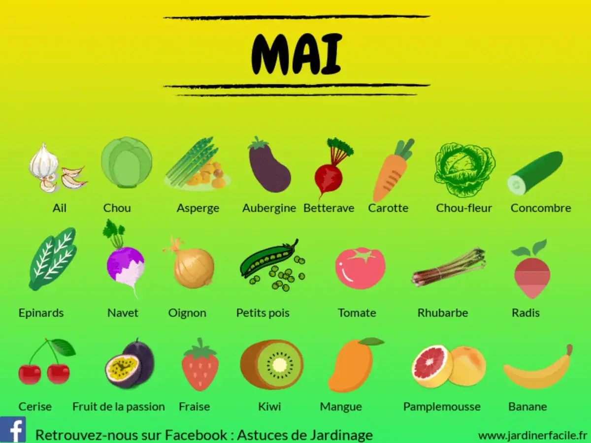 Le fruit du mois de mai : cerises, fraises, kiwis, mangues, pamplemousses et bananes, accompagnés de légumes de saison.