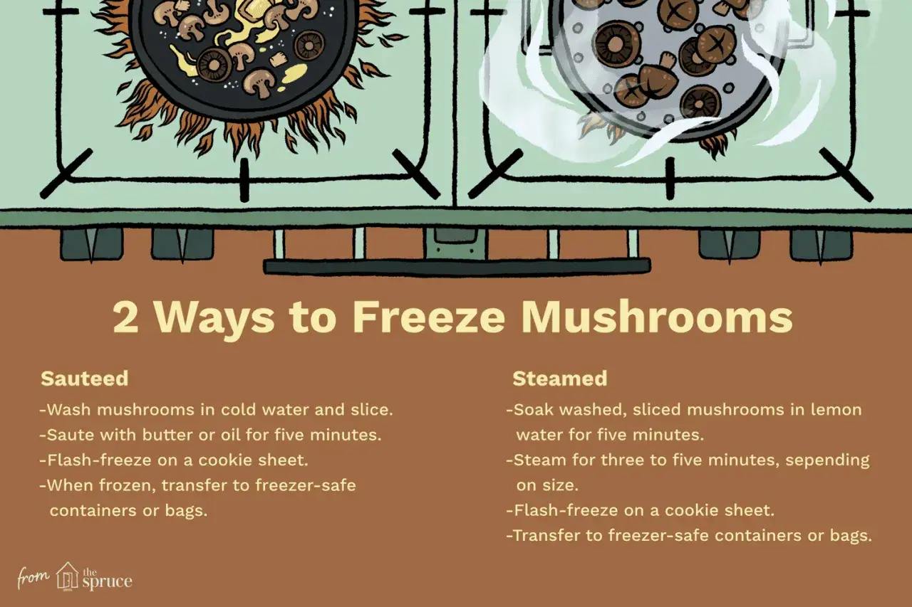 Apprenez comment congeler des champignons frais en les faisant sauter ou cuire à la vapeur. L'image montre les deux méthodes.