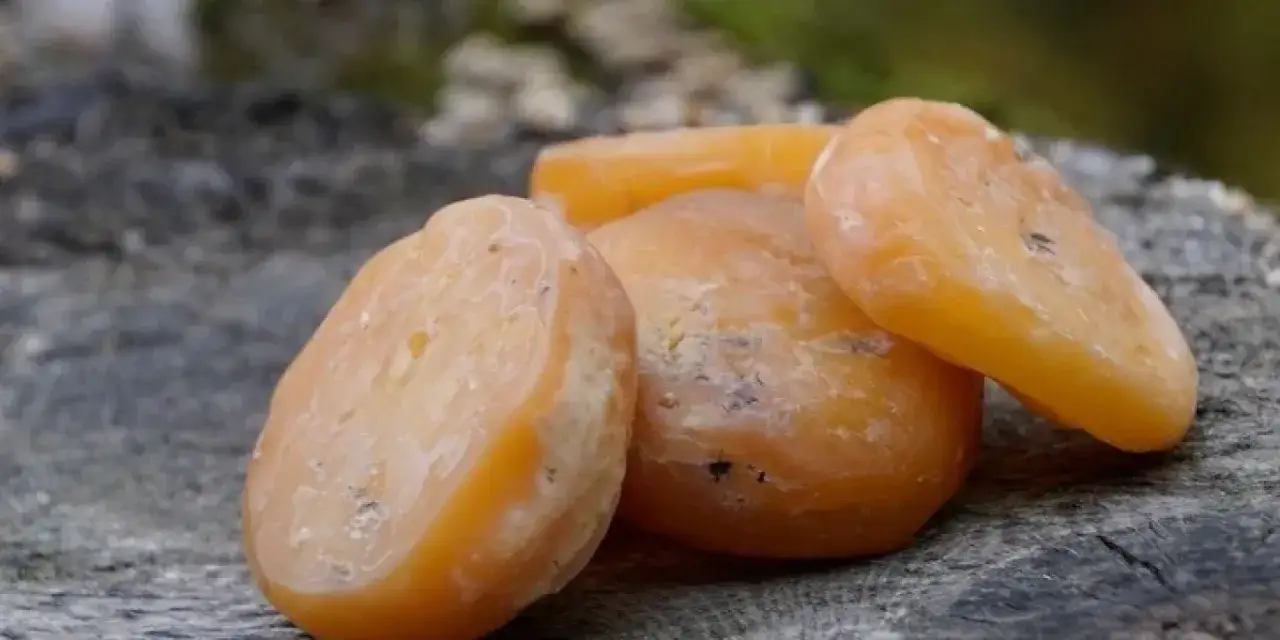 Quatre petits fromages orang&eacute;s, parfaits pour une recette ramequin du Bugey, reposent sur un tronc d'arbre.