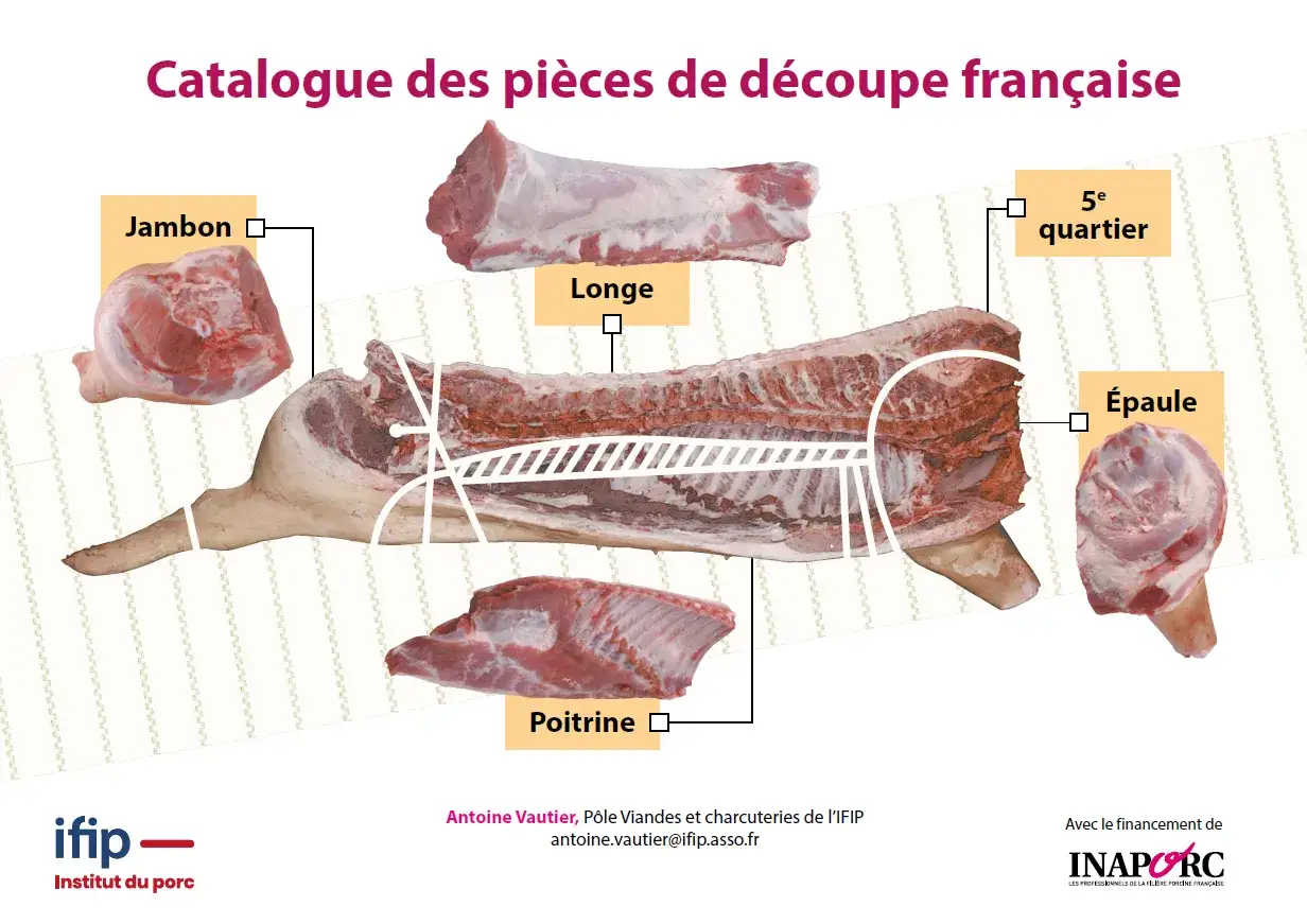 Catalogue de d&eacute;coupe fran&ccedil;aise : jambon, longe, poitrine, 5e quartier, &eacute;paule. Guide pour comment d&eacute;couper un cochon entier.