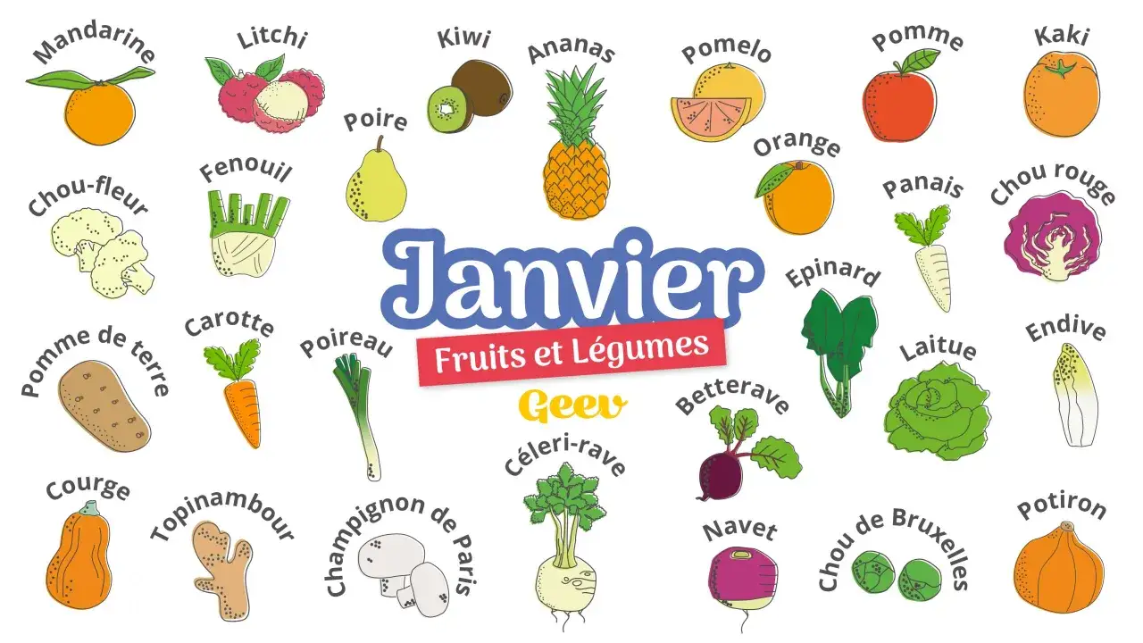 Illustration des fruits et légumes de janvier : mandarine, litchi, kiwi, ananas, pomelo, pomme, kaki, chou-fleur, fenouil, poire, orange, panais, chou rouge, pomme de terre, carotte, poireau, épinard, betterave, céleri-rave, navet, chou de Bruxelles, p...
